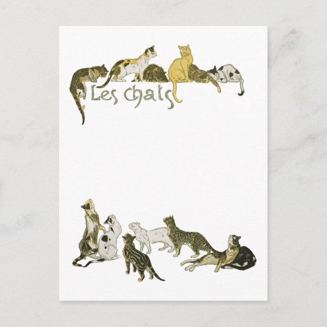 Katter, Alexandre Steinlen Vykort (Framsida)