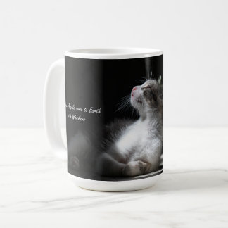 Katter är Änglar katt mugg