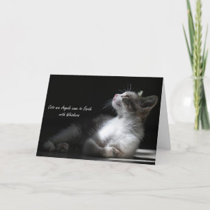 Katter är Änglar kom till jorden, notecard Meddelande