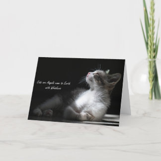 Katter är Änglar kom till jorden, notecard Meddelande