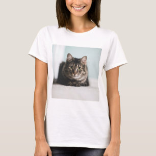Katter är de bästa 55 t shirt