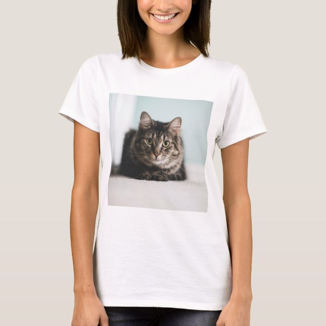 Katter är de bästa 55 t shirt (Framsida)
