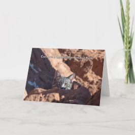 Katter är en mystisk typ av folknotecard meddelande