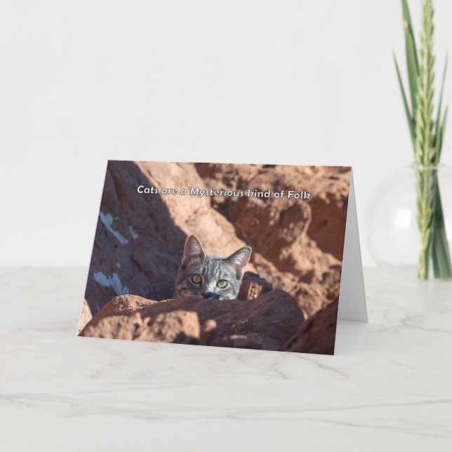 Katter är en mystisk typ av folknotecard meddelande (Framsida)