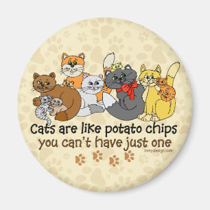 Katter är lika potatischiper magnet