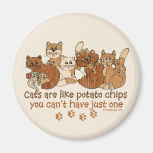 Katter är lika potatischiper magnet