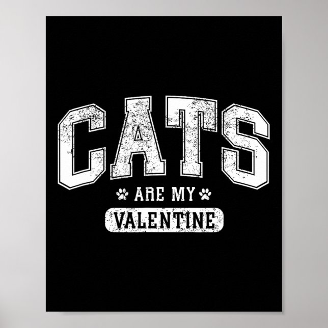 Katter är min valentin' Rolig kattälskare valentin Poster (Framsidan)