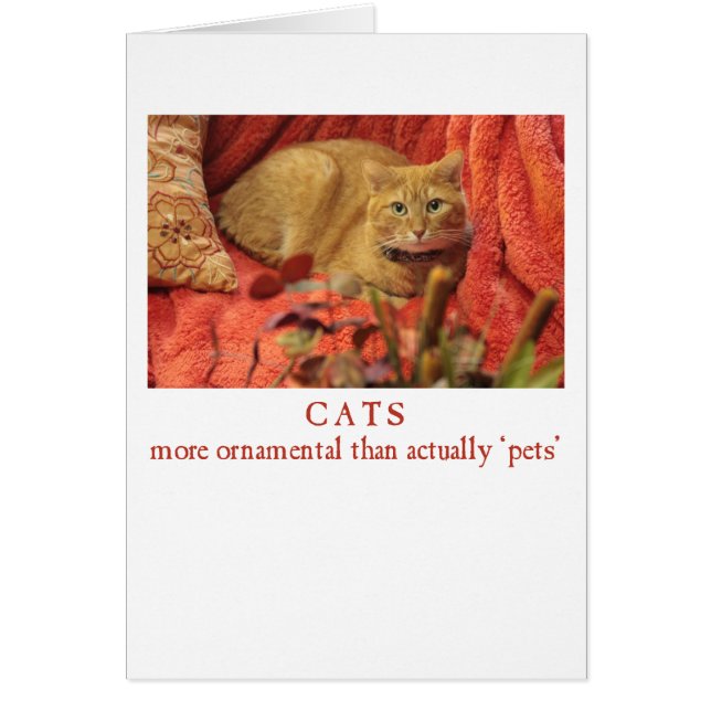 Katter är prydnadsdjur hälsningskort (Framsidan)