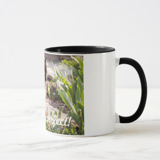 KATTER ÄR PURFFECT-KAFFEMUGGEN MUGG