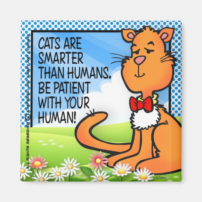 Katter är smartare magnet (Framsidan)