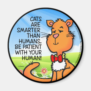 Katter är smartare magnet