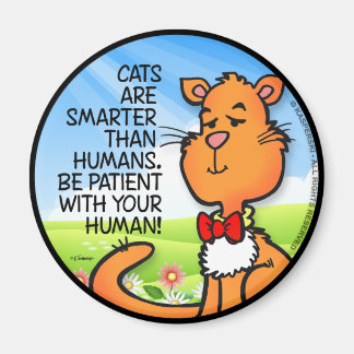 Katter är smartare magnet