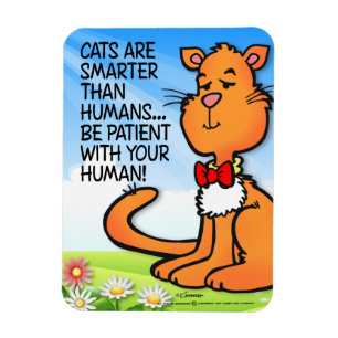 Katter är smartare magnet
