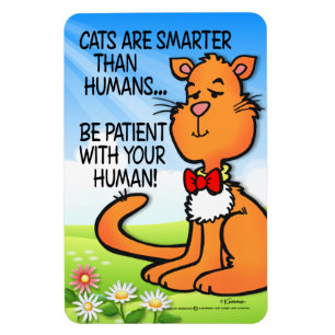 Katter är smartare magnet