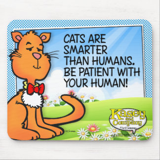 Katter är smartare musmatta
