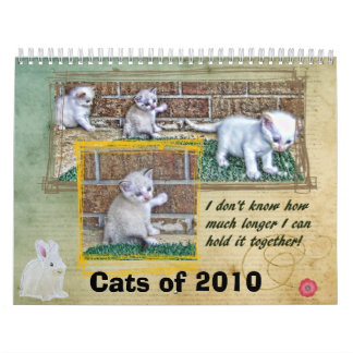 Katter av 2010 kalender