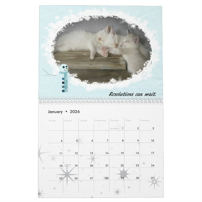 Katter av 2010 kalender (Jan 2026)