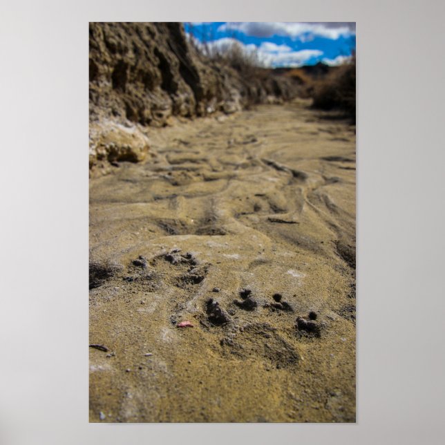 Katter av Badlands Poster (Framsidan)