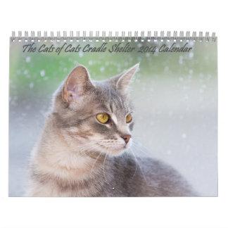 Katter av Cats Cradle Shelter 2014 Kalender