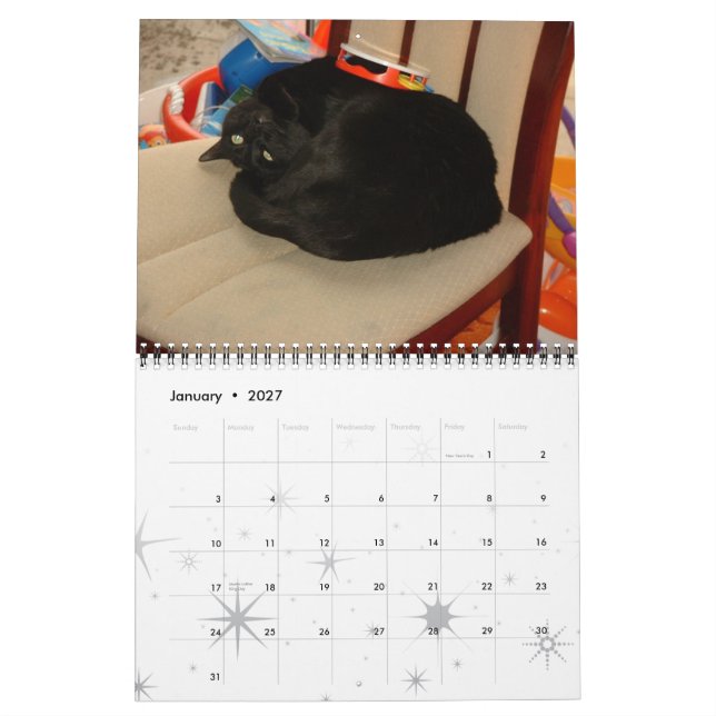 Katter, av glasaktigt glas kalender (Jan 2027)