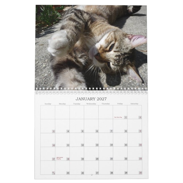 Katter av grannskapen 2013 kalender (Jan 2027)