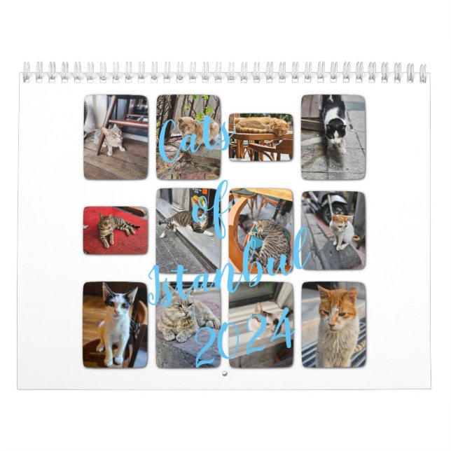 Katter av Istanbul Kalender (Omslag)
