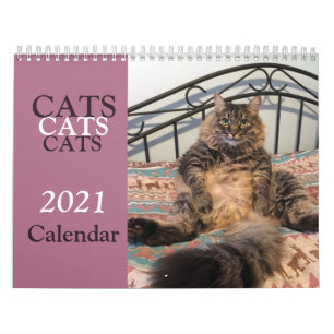 Katter av katter - kalender