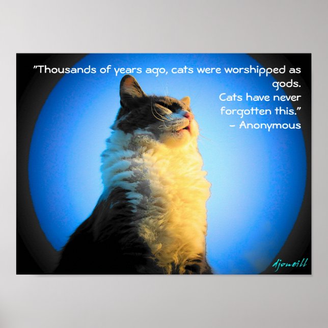 Katter, bearbetade som gudar- med anonymt citat poster (Framsidan)