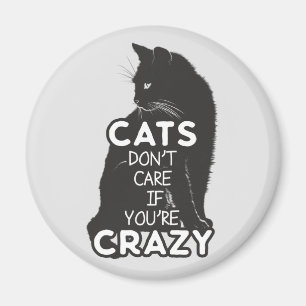 Katter bryr sig inte om du är galen magnet