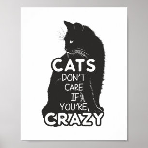Katter bryr sig inte om du är galen Roligt Poster