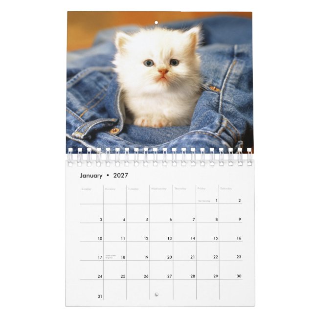 Katter Calendar 2012 Kalender (Jan 2027)
