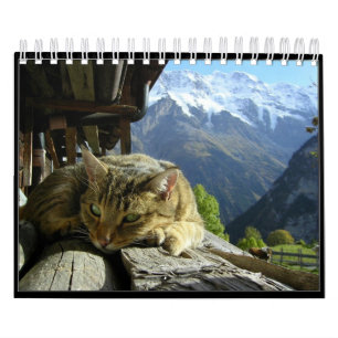 Katter Calendar 2012 Kalender