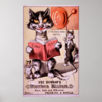 Katter Diarré Blandning