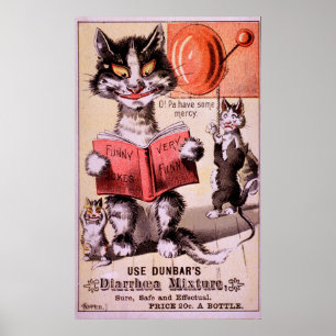 Katter Diarré Blandning Poster