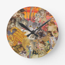 Katter ett överflöd