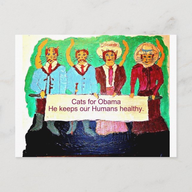 Katter för Obama Vykort (Framsida)