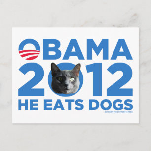 Katter för Obama Vykort