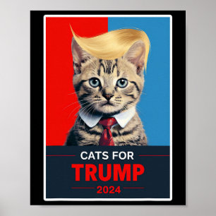 Katter för omröstning 2024 Val 1 Poster