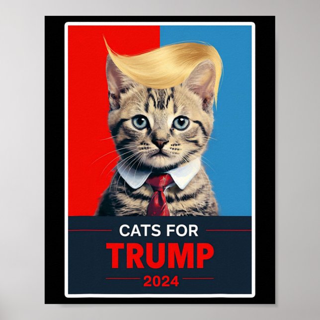 Katter för omröstning 2024 Val 1 Poster (Framsidan)