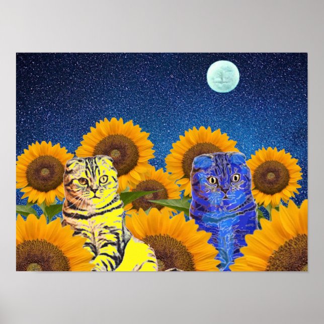 Katter för Ukraina Poster (Framsidan)