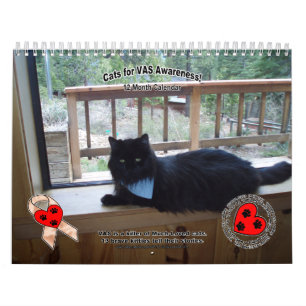 Katter för VASmedvetenhet! Kalender