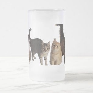 Katter frostat ölglas