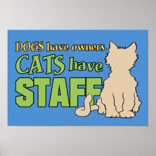 KATTER HAR ANSTÄLLDA anpassningsbar poster