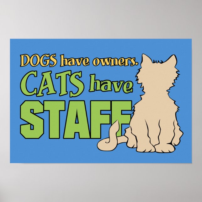 KATTER HAR ANSTÄLLDA anpassningsbar poster (Framsidan)