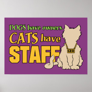 KATTER HAR ANSTÄLLDA anpassningsbar poster