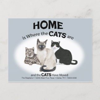 Katter har Flyttat vykort