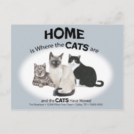 Katter har Flyttat vykort