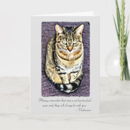 Katter har rört ditt själ Pet Sympathy Card Kort