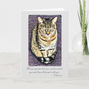 Katter har rört ditt själ Pet Sympathy Card Kort
