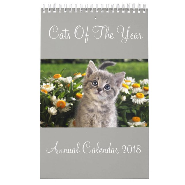 Katter i årskalendern 2018 kalender (Omslag)